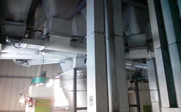 羊饲料生产线在推动畜牧业发展中发挥更大的作用